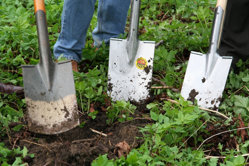 pepiniere-BAUDUEN-min_work-lawn-flower-tool-green-backyard-1103633-pxhere.com